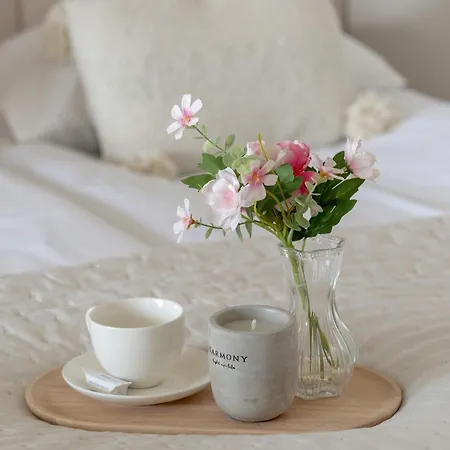 Eleganckie W Katowicach Z Dostepem Do Silowni Oraz Sali Zabaw By Renters شقة كاتوفيتسه